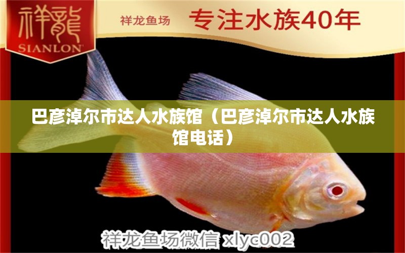 巴彦淖尔市达人水族馆（巴彦淖尔市达人水族馆电话）