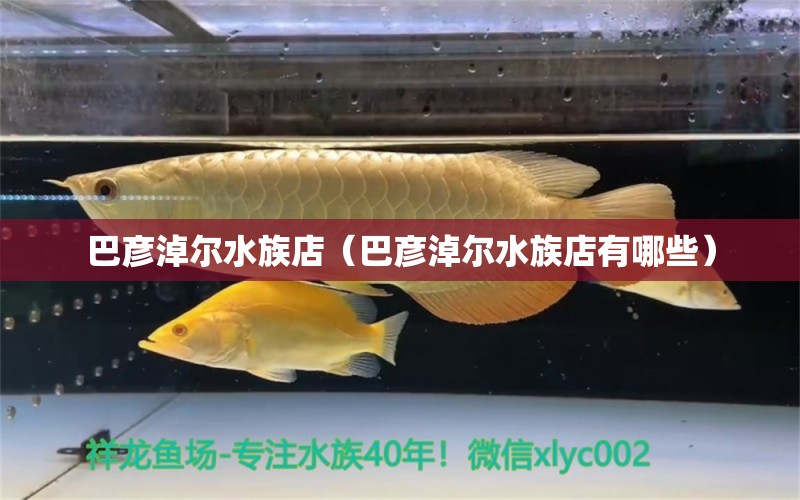 巴彦淖尔水族店（巴彦淖尔水族店有哪些） 观赏鱼市场