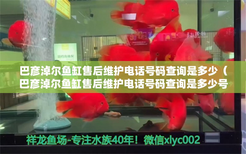 巴彦淖尔鱼缸售后维护电话号码查询是多少（巴彦淖尔鱼缸售后维护电话号码查询是多少号） 其他品牌鱼缸