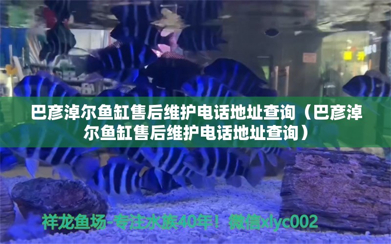 巴彦淖尔鱼缸售后维护电话地址查询（巴彦淖尔鱼缸售后维护电话地址查询） 其他品牌鱼缸