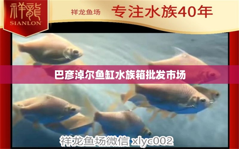 巴彦淖尔鱼缸水族箱批发市场