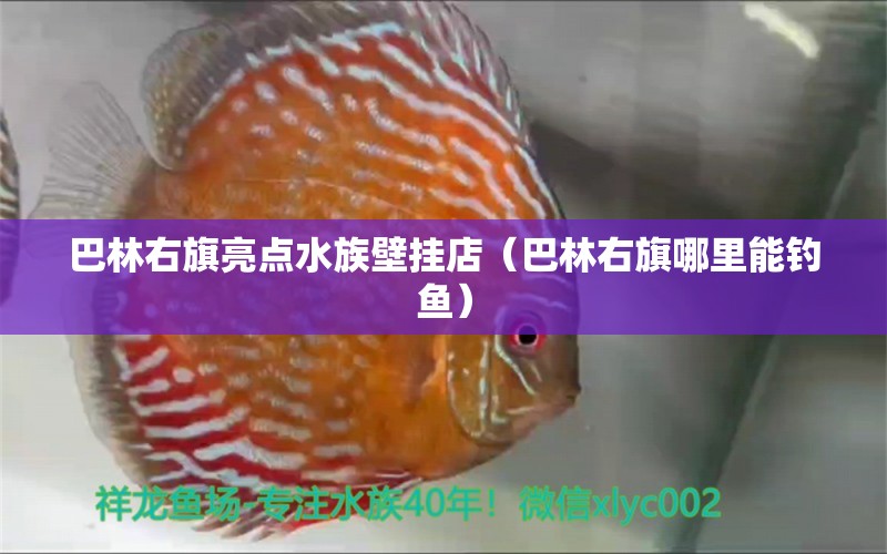 巴林右旗亮点水族壁挂店（巴林右旗哪里能钓鱼）