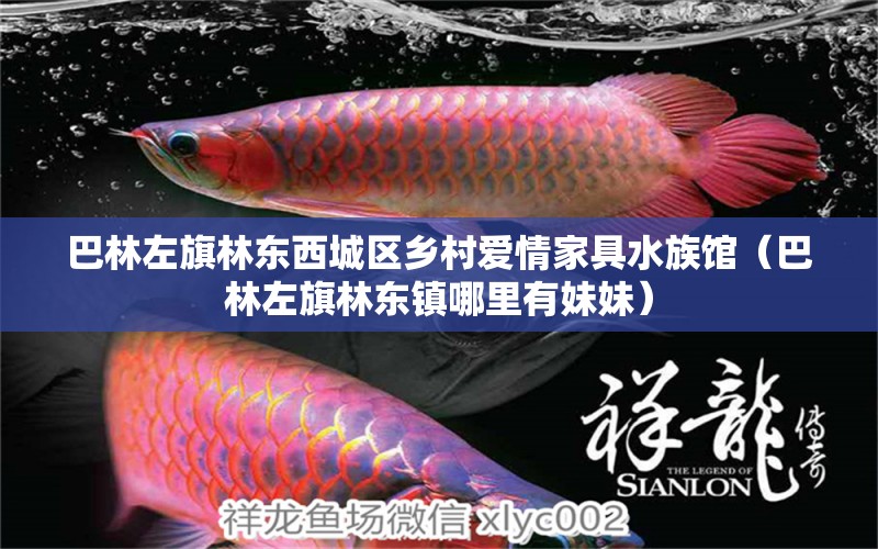 巴林左旗林东西城区乡村爱情家具水族馆（巴林左旗林东镇哪里有妹妹）