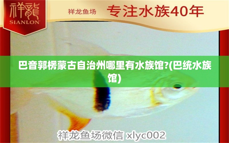 巴音郭楞蒙古自治州哪里有水族馆?(巴统水族馆)