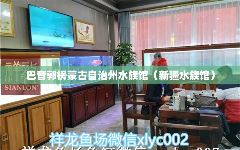 巴音郭楞蒙古自治州水族馆（新疆水族馆） 祥龙水族滤材/器材 第2张