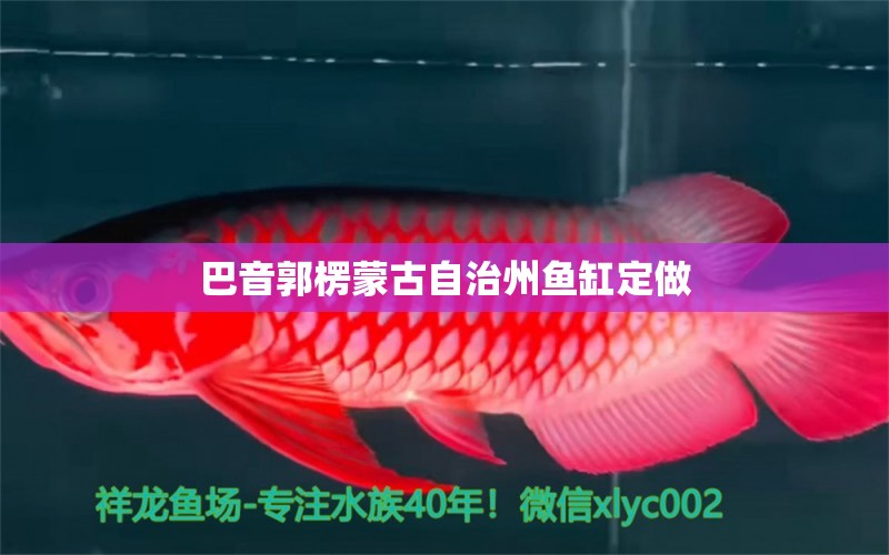 巴音郭楞蒙古自治州鱼缸定做 祥龙水族医院