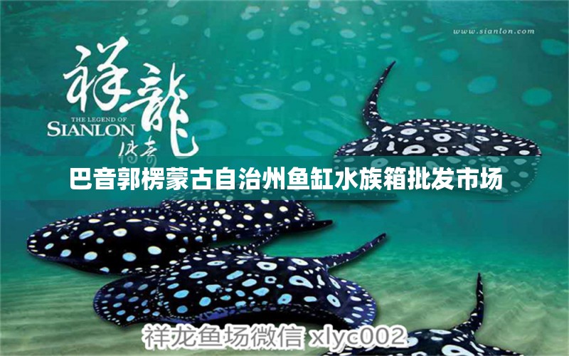 巴音郭楞蒙古自治州鱼缸水族箱批发市场