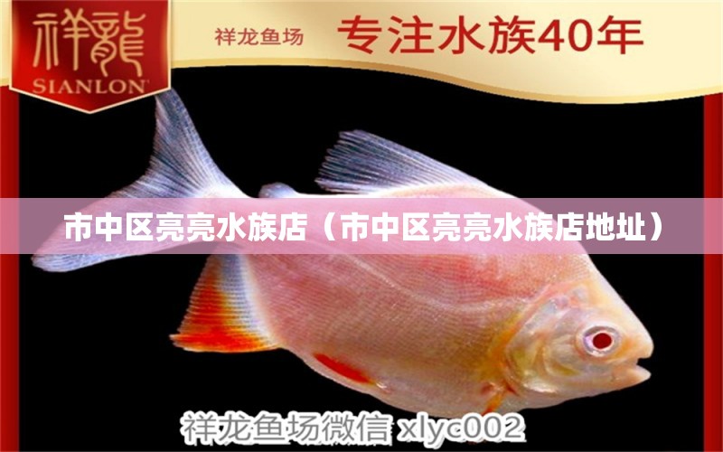 市中区亮亮水族店（市中区亮亮水族店地址）