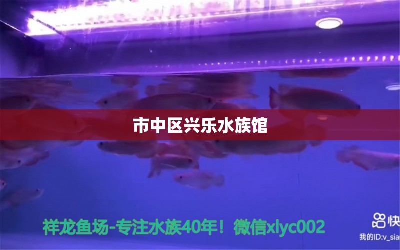 市中区兴乐水族馆