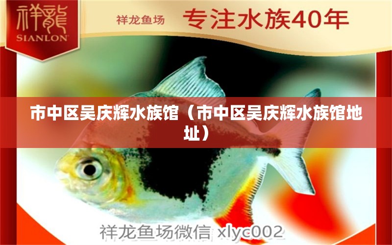 市中区吴庆辉水族馆（市中区吴庆辉水族馆地址） 全国水族馆企业名录