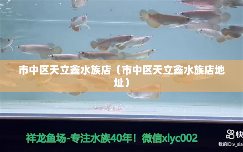 市中区天立鑫水族店（市中区天立鑫水族店地址） 全国水族馆企业名录