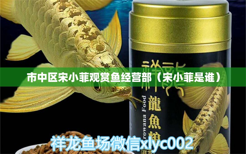 市中区宋小菲观赏鱼经营部（宋小菲是谁） 全国水族馆企业名录