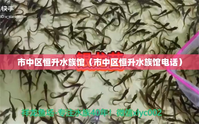 市中区恒升水族馆（市中区恒升水族馆电话） 全国水族馆企业名录