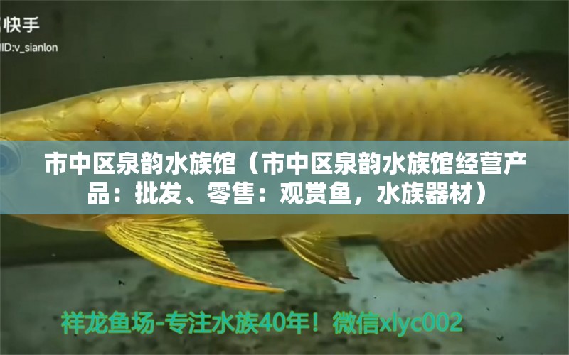 市中区泉韵水族馆（市中区泉韵水族馆经营产品：批发、零售：观赏鱼，水族器材）