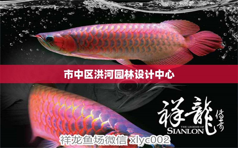 市中区洪河园林设计中心 全国水族馆企业名录