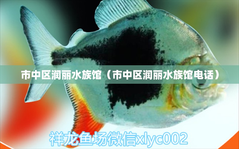 市中区润丽水族馆（市中区润丽水族馆电话）