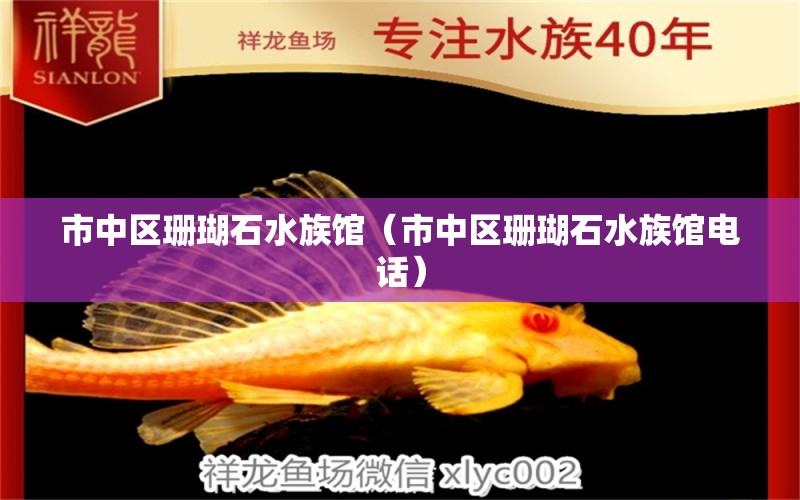 市中区珊瑚石水族馆（市中区珊瑚石水族馆电话） 全国水族馆企业名录