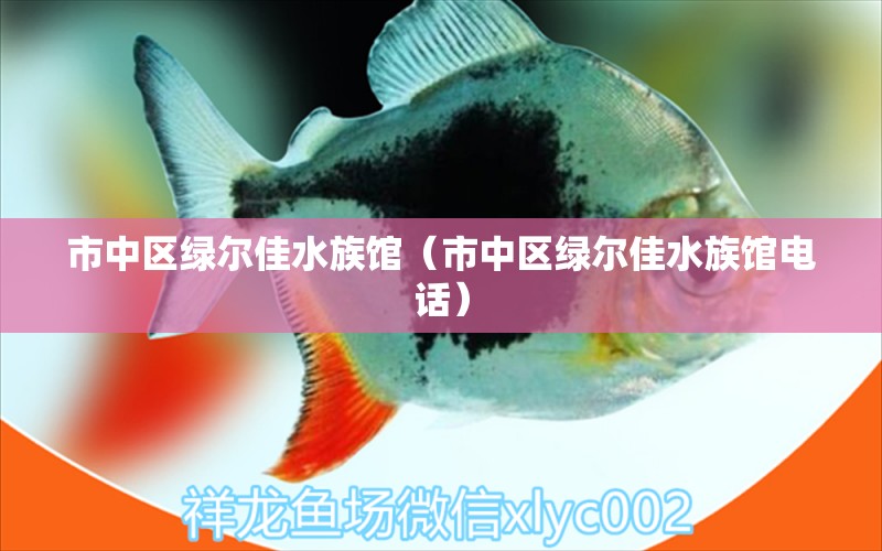 市中区绿尔佳水族馆（市中区绿尔佳水族馆电话）