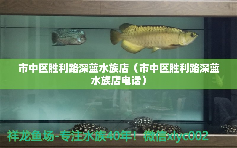 市中区胜利路深蓝水族店（市中区胜利路深蓝水族店电话） 全国水族馆企业名录