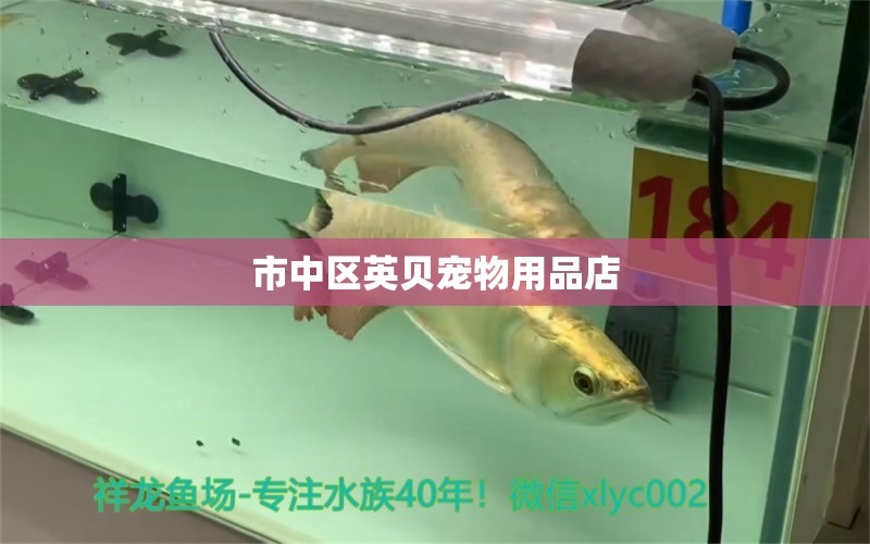 市中区英贝宠物用品店 全国水族馆企业名录