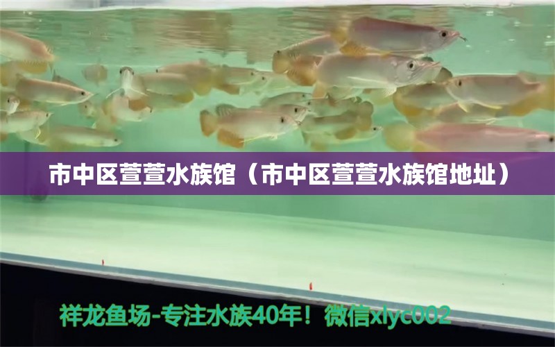 市中区萱萱水族馆（市中区萱萱水族馆地址）