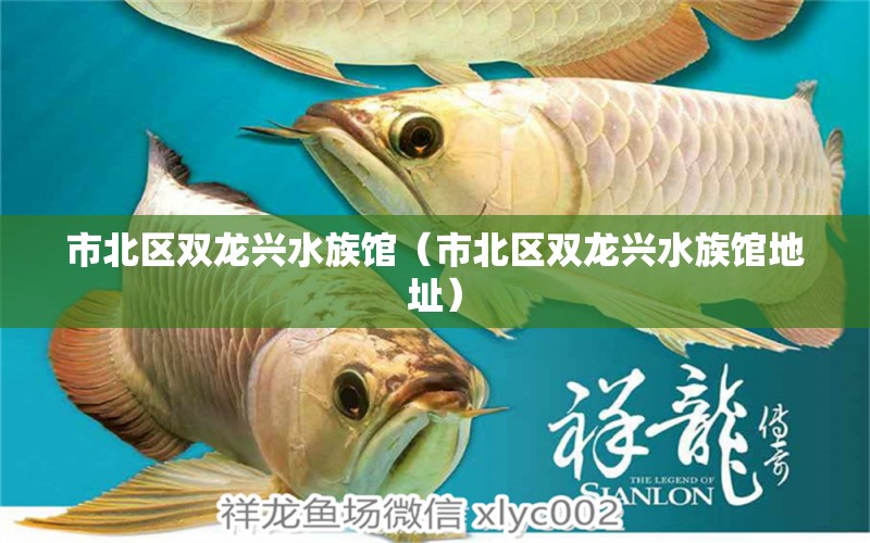 市北区双龙兴水族馆（市北区双龙兴水族馆地址） 全国水族馆企业名录