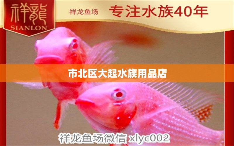 市北区大起水族用品店