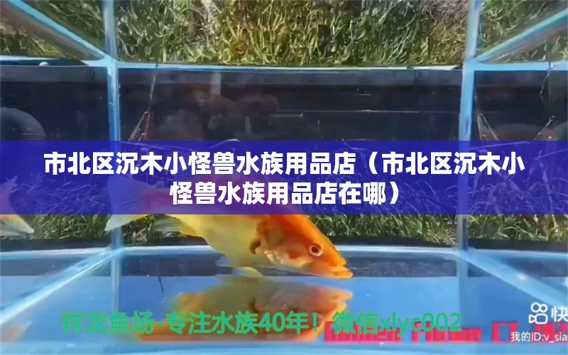 市北区沉木小怪兽水族用品店（市北区沉木小怪兽水族用品店在哪）