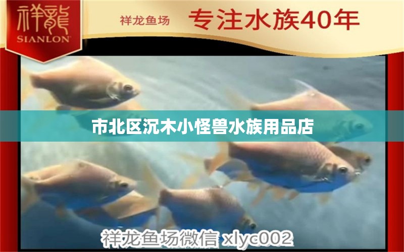 市北区沉木小怪兽水族用品店 水族用品