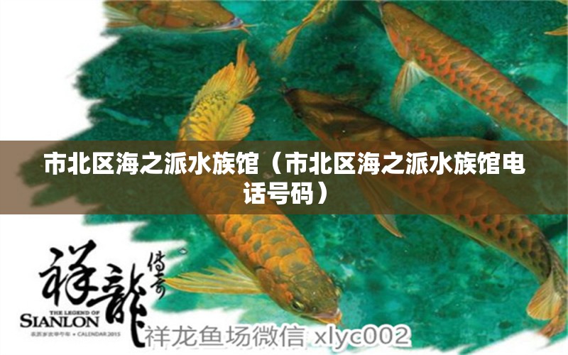 市北区海之派水族馆（市北区海之派水族馆电话号码）