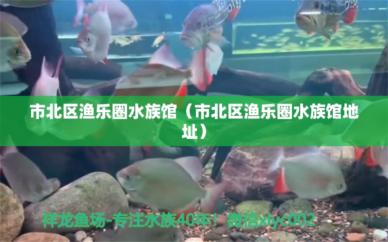 市北区渔乐圈水族馆（市北区渔乐圈水族馆地址）