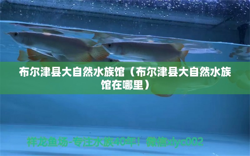 布尔津县大自然水族馆（布尔津县大自然水族馆在哪里） 全国水族馆企业名录