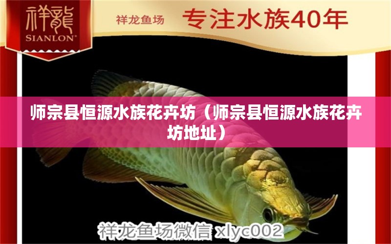 师宗县恒源水族花卉坊（师宗县恒源水族花卉坊地址）