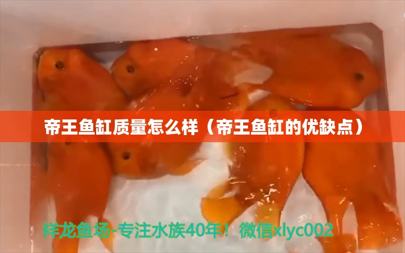 帝王鱼缸质量怎么样（帝王鱼缸的优缺点）