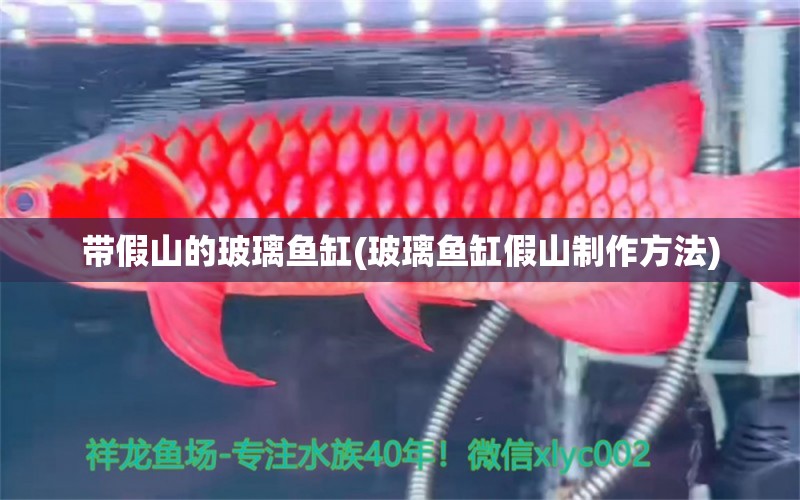 带假山的玻璃鱼缸(玻璃鱼缸假山制作方法)