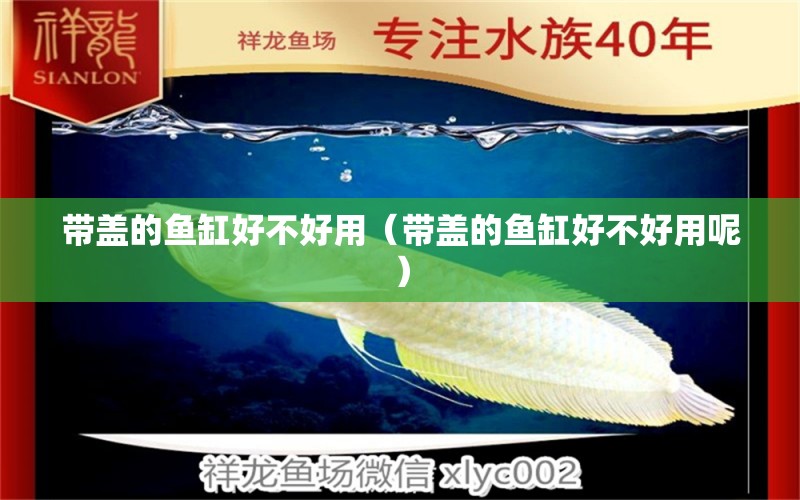 带盖的鱼缸好不好用（带盖的鱼缸好不好用呢） 祥龙水族医院