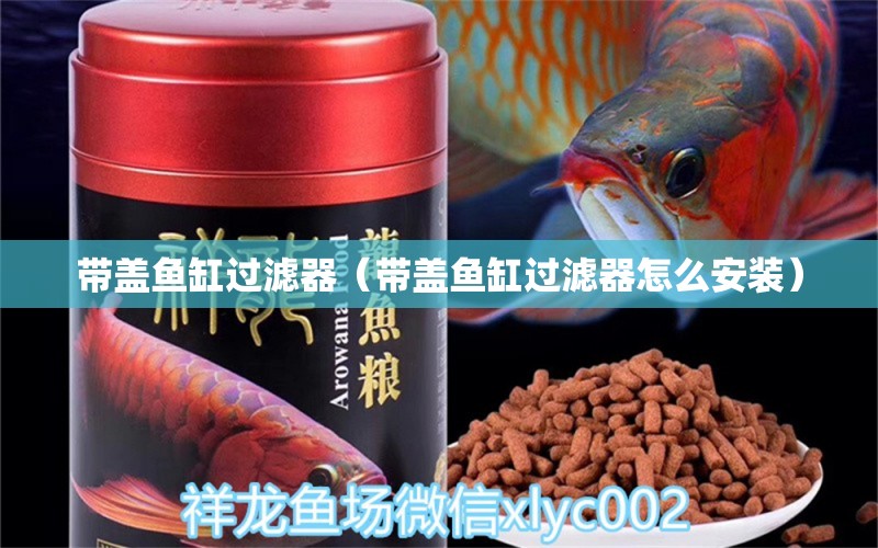 带盖鱼缸过滤器（带盖鱼缸过滤器怎么安装）