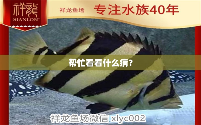 帮忙看看什么病？