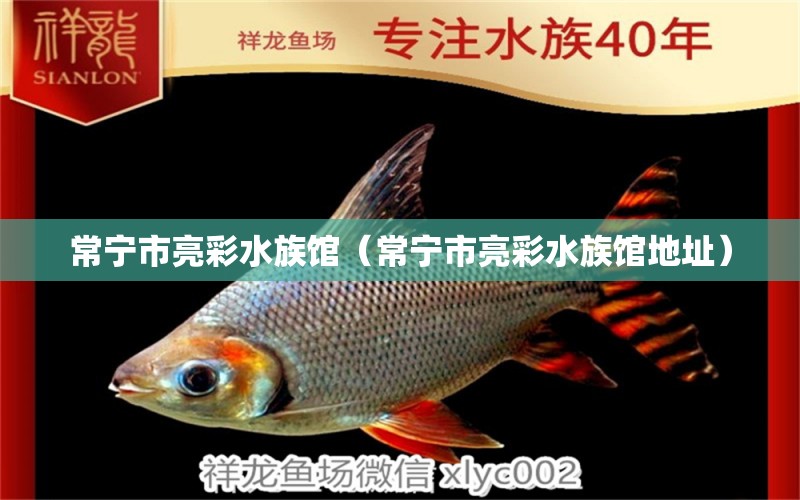 常宁市亮彩水族馆（常宁市亮彩水族馆地址）