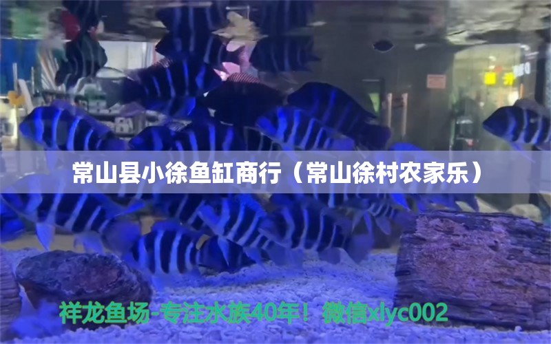 常山县小徐鱼缸商行（常山徐村农家乐） 全国水族馆企业名录