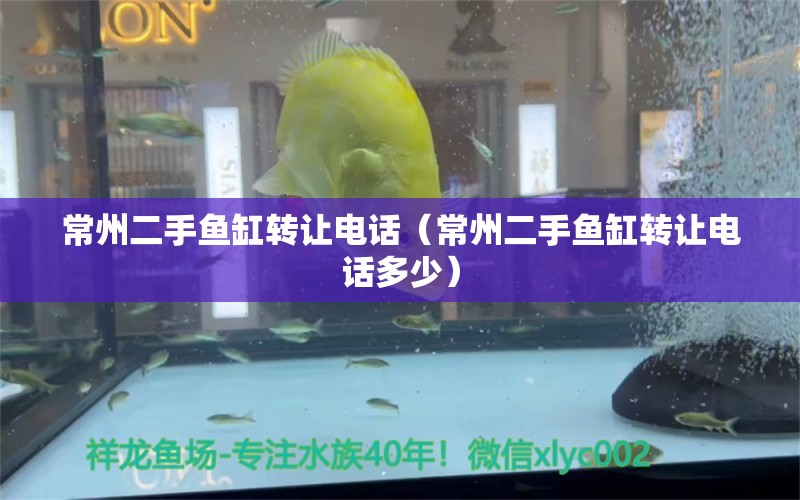 常州二手鱼缸转让电话（常州二手鱼缸转让电话多少） 广州观赏鱼批发市场