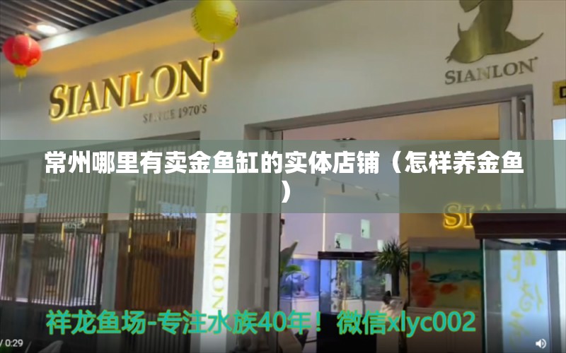 常州哪里有卖金鱼缸的实体店铺（怎样养金鱼） 杰西卡恐龙鱼 第1张