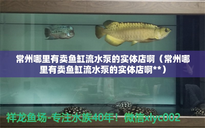 常州哪里有卖鱼缸流水泵的实体店啊（常州哪里有卖鱼缸流水泵的实体店啊**） 祥龙蓝珀金龙鱼