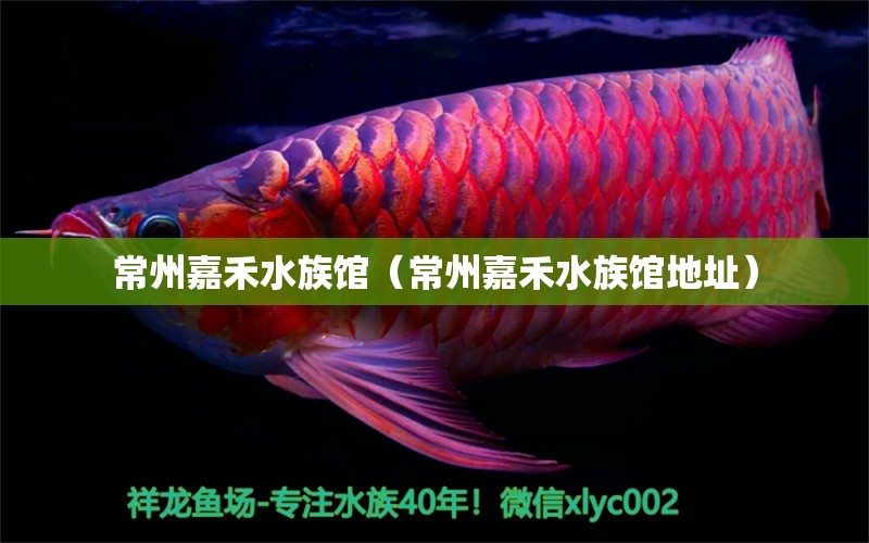 常州嘉禾水族馆（常州嘉禾水族馆地址）