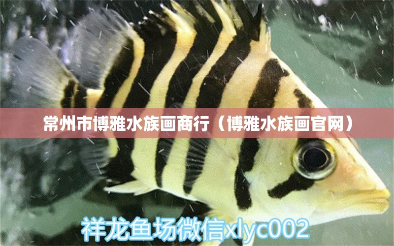 常州市博雅水族画商行（博雅水族画官网） 全国水族馆企业名录