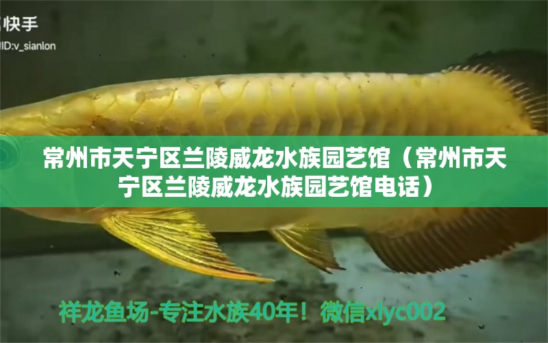 常州市天宁区兰陵威龙水族园艺馆（常州市天宁区兰陵威龙水族园艺馆电话）