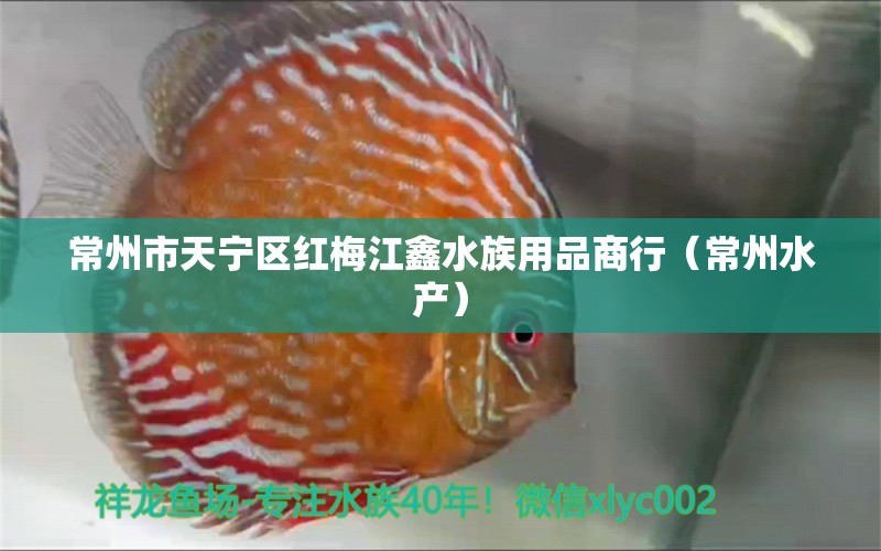 常州市天宁区红梅江鑫水族用品商行（常州水产）