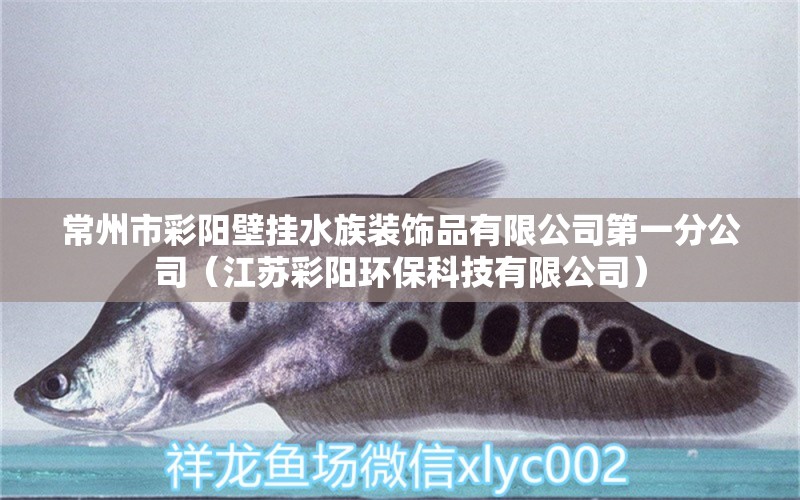 常州市彩阳壁挂水族装饰品有限公司第一分公司（江苏彩阳环保科技有限公司）