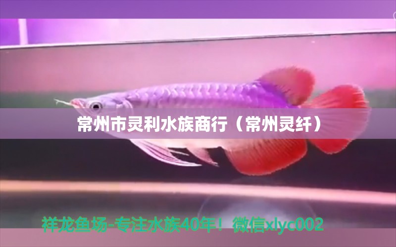 常州市灵利水族商行（常州灵纤）