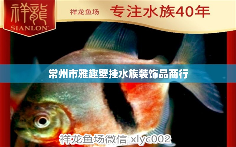 常州市雅趣壁挂水族装饰品商行